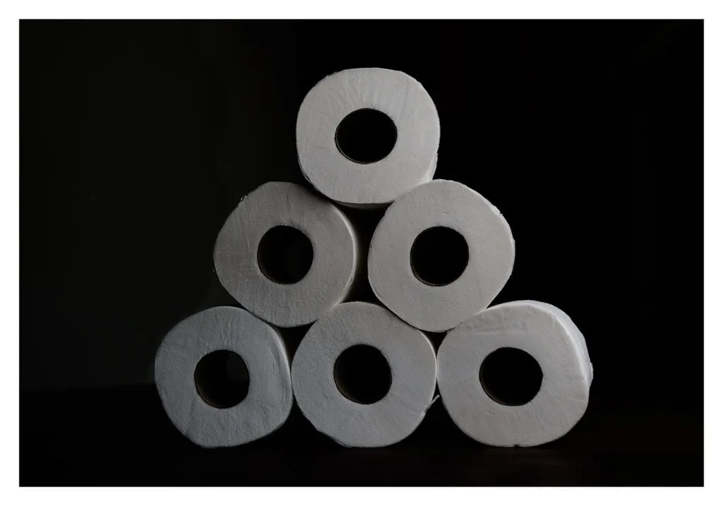 5-toilet-rolls-plan